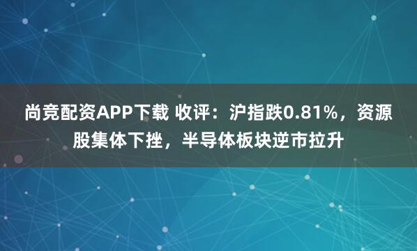 尚竞配资APP下载 收评：沪指跌0.81%，资源股集体下挫，半导体板块逆市拉升