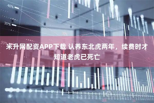 米升网配资APP下载 认养东北虎两年，续费时才知道老虎已死亡