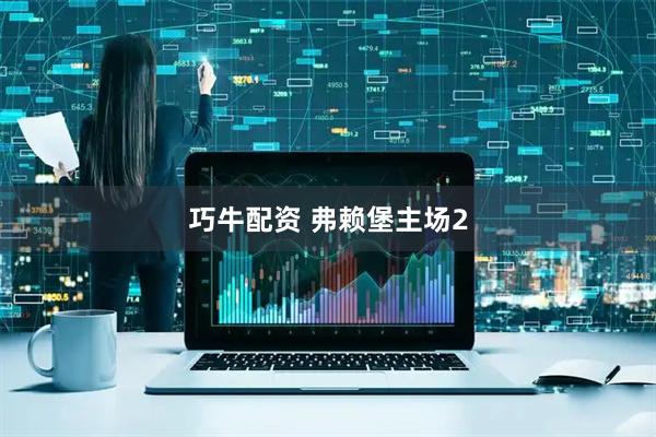 巧牛配资 弗赖堡主场2